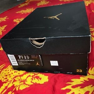 Air Jordan 6 Retro Lows